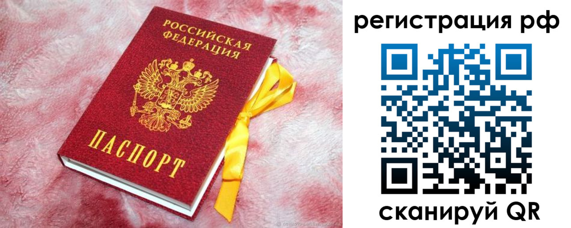 прописка в Луге